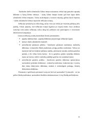 Infliacija Lietuvoje 2002-2007 metais 14 puslapis