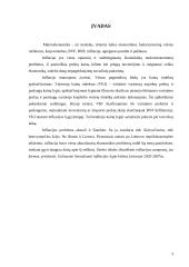 Infliacija Lietuvoje 2002-2007 metais 2 puslapis