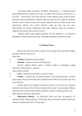 Infliacija Lietuvoje 2002-2007 metais 4 puslapis