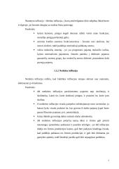 Infliacija Lietuvoje 2002-2007 metais 6 puslapis