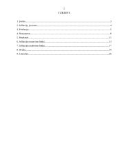 Infliacija, jos esmė, priežastys, nustatymas 2 puslapis