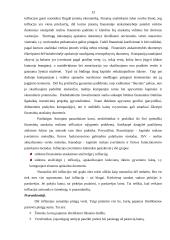 Infliacija, jos esmė, priežastys, nustatymas 13 puslapis