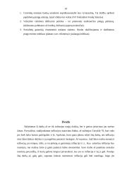 Infliacija, jos esmė, priežastys, nustatymas 19 puslapis