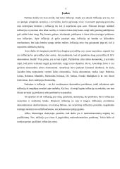 Infliacija, jos esmė, priežastys, nustatymas 3 puslapis