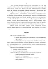 Infliacija, jos esmė, priežastys, nustatymas 5 puslapis
