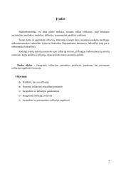 Infliacija. Infliacijos poveikis ekonomikai ir priemonės jai reguliuoti 2 puslapis