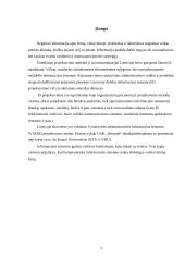 Informacijos bei informacinių sistemų svarba organizacijų valdyme 3 puslapis