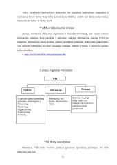 Viskas apie informaciją vadyboje 12 puslapis