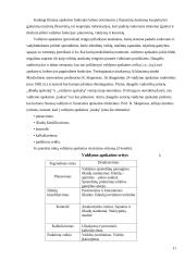 Informacija valdyme 11 puslapis