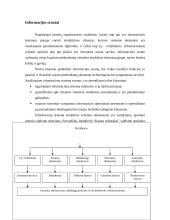 Informacijos reikšmė organizacijose 4 puslapis
