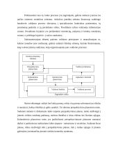 Informacijos reikšmė organizacijose 5 puslapis