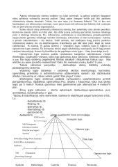 Informacijos svarba santykių plėtotei. Įmonės bei vartotojo informacijos integravimas 12 puslapis