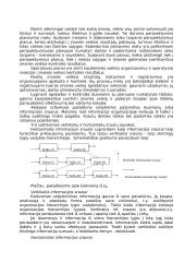 Informacijos svarba santykių plėtotei. Įmonės bei vartotojo informacijos integravimas 8 puslapis