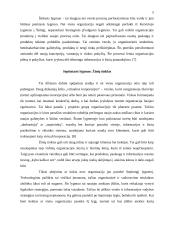 Informacijos vadybos lygmenys 5 puslapis