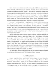 Inovacijos Europoje 12 puslapis