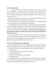 Inovacijų strategijų formavimas 3 puslapis