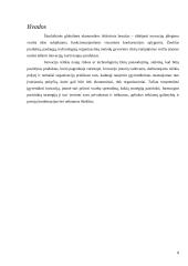 Inovacijų strategijų formavimas 7 puslapis