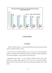 Inovacijų taikymas transporto įmonių valdyme 17 puslapis
