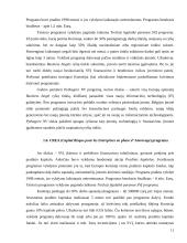 Institucijų ir programų, teikiančių paramą smulkiam ir vidutiniam verslui įvertinimas 11 puslapis