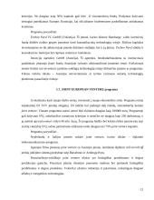 Institucijų ir programų, teikiančių paramą smulkiam ir vidutiniam verslui įvertinimas 12 puslapis