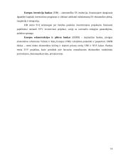 Institucijų ir programų, teikiančių paramą smulkiam ir vidutiniam verslui įvertinimas 14 puslapis