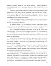 Institucijų ir programų, teikiančių paramą smulkiam ir vidutiniam verslui įvertinimas 16 puslapis