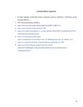 Institucijų ir programų, teikiančių paramą smulkiam ir vidutiniam verslui įvertinimas 19 puslapis