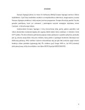 Institucijų ir programų, teikiančių paramą smulkiam ir vidutiniam verslui įvertinimas 4 puslapis