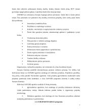 Institucijų ir programų, teikiančių paramą smulkiam ir vidutiniam verslui įvertinimas 7 puslapis