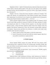 Institucijų ir programų, teikiančių paramą smulkiam ir vidutiniam verslui įvertinimas 8 puslapis