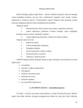 Institucijų ir programų, teikiančių paramą smulkiam ir vidutiniam verslui įvertinimas 10 puslapis