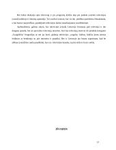 Institucijų įvaizdis, jo būtinybė 13 puslapis