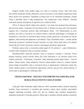 Institucijų įvaizdis, jo būtinybė 5 puslapis