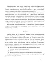 Institucijų įvaizdis, jo būtinybė 7 puslapis