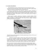 Integrinių grandynų (mikroschemų) gedimus sąlygojantys veiksniai -  difuzija, elektrinė migracija ir korozija 13 puslapis