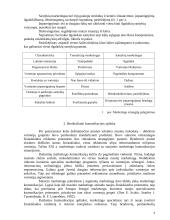 Integruotų marketingo komunikacijų svarba diegiant santykių marketingą 4 puslapis