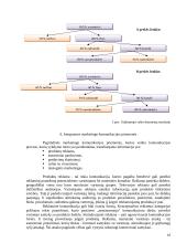 Integruotų marketingo komunikacijų svarba diegiant santykių marketingą 10 puslapis