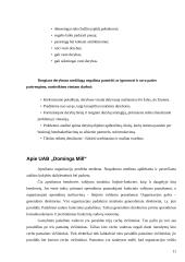 Interesai ir derybos 11 puslapis