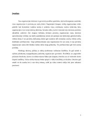 Interesai ir derybos 3 puslapis