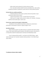 Interesai ir derybos 8 puslapis