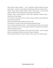 Interesų grupės viešojoje politikoje 2 puslapis