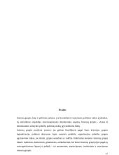 Interesų grupės viešojoje politikoje 17 puslapis