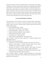 Interesų grupės viešojoje politikoje 4 puslapis