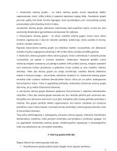 Interesų grupės viešojoje politikoje 5 puslapis