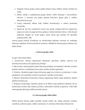 Interesų grupės viešojoje politikoje 6 puslapis