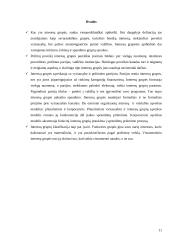 Interesų grupių klasifikavimas 11 puslapis