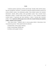 Interesų grupių klasifikavimas 3 puslapis