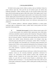 Interesų grupių klasifikavimas 5 puslapis