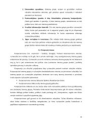 Interesų grupių klasifikavimas 10 puslapis