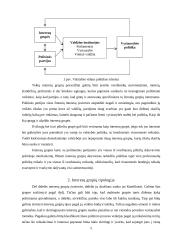 Interesų grupės Lietuvos politinėje sistemoje 4 puslapis